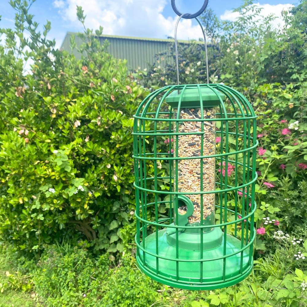 Guardian Seed Feeder